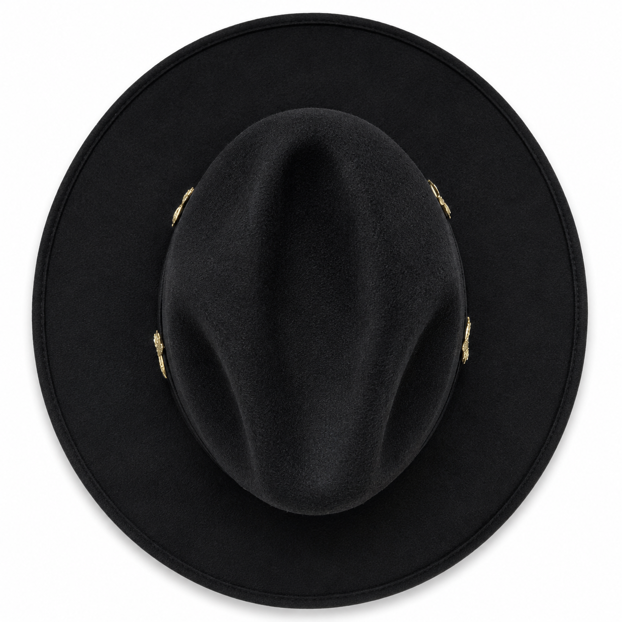 Vaquero negro libélulas oro